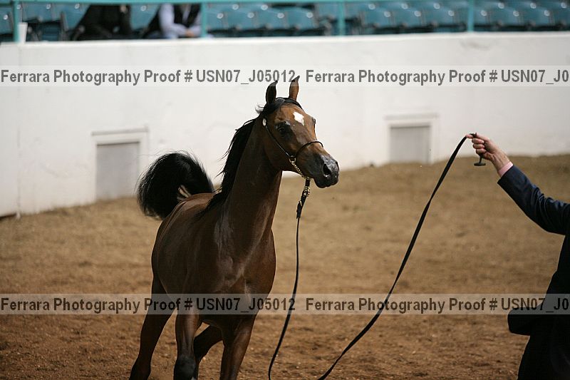 Proof usn07_j05012