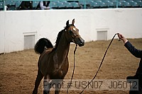 usn07_j05012 proof