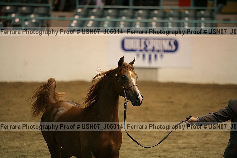 Proof usn07_j05014