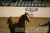usn07_j05014 proof