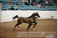 usn07_j05015 proof