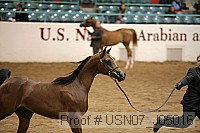 usn07_j05016 proof