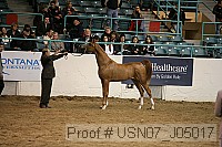 usn07_j05017 proof