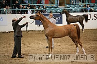 usn07_j05018 proof