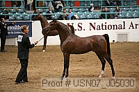 usn07_j05030 proof