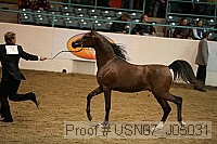 usn07_j05031 proof
