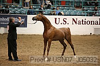 usn07_j05032 proof