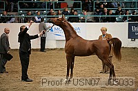 usn07_j05033 proof