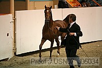 usn07_j05034 proof