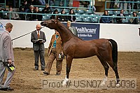 usn07_j05036 proof