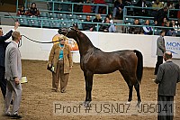 usn07_j05041 proof