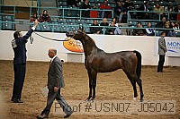 usn07_j05042 proof