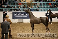 usn07_j05047 proof