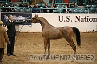 usn07_j05052 proof