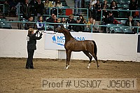 usn07_j05061 proof