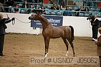 usn07_j05062 proof