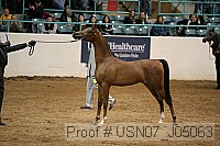 usn07_j05063 proof