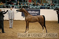 usn07_j05064 proof