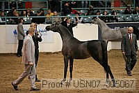 usn07_j05067 proof