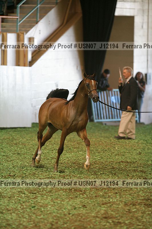Proof usn07_j12194