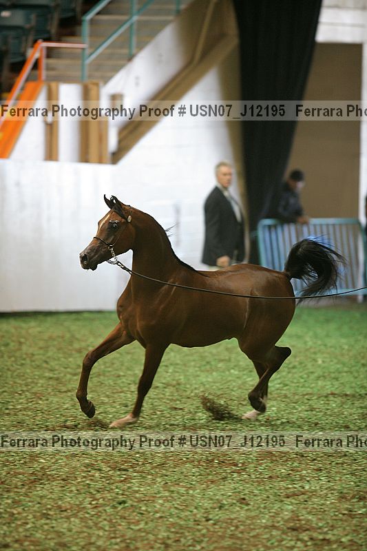 Proof usn07_j12195