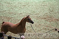 usn07_j12205 proof