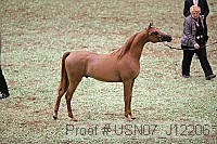 usn07_j12206 proof