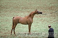 usn07_j12207 proof