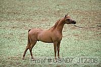 usn07_j12208 proof