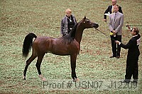 usn07_j12209 proof