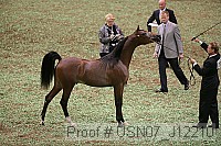 usn07_j12210 proof