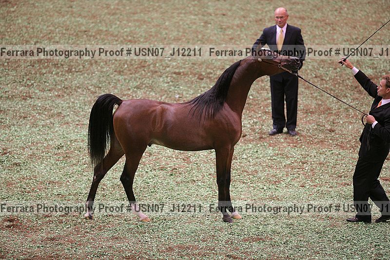 Proof usn07_j12211