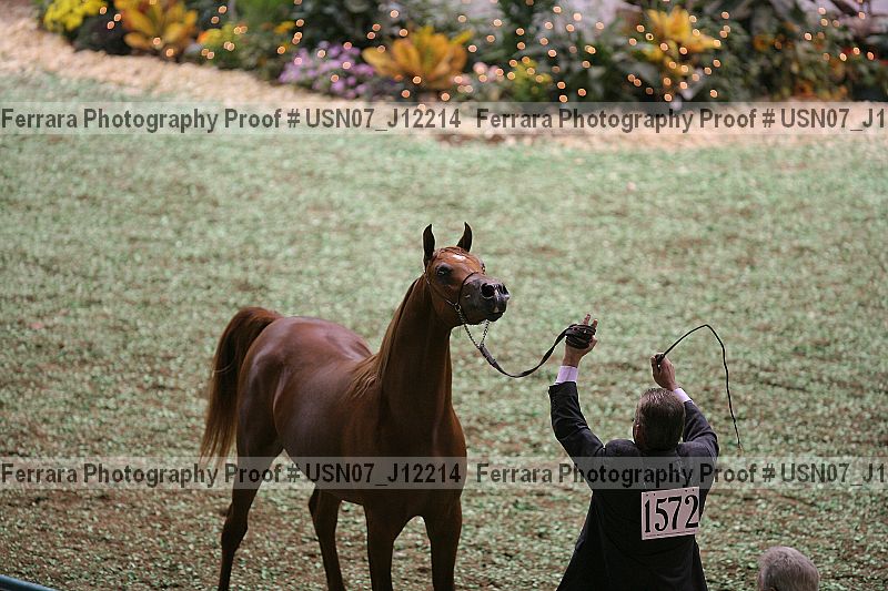 Proof usn07_j12214