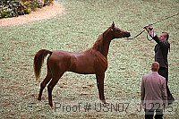 usn07_j12215 proof