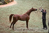 usn07_j12217 proof