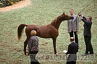 usn07_j12218 proof