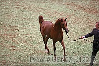 usn07_j12219 proof