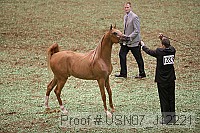 usn07_j12221 proof
