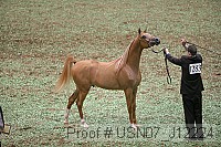 usn07_j12224 proof