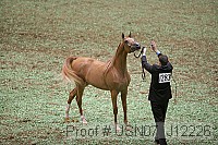 usn07_j12226 proof