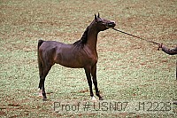 usn07_j12228 proof