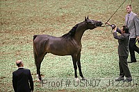 usn07_j12230 proof