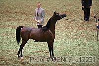 usn07_j12231 proof