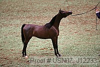 usn07_j12233 proof