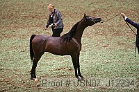 usn07_j12234 proof