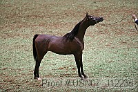 usn07_j12235 proof