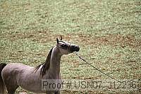 usn07_j12236 proof