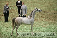 usn07_j12238 proof
