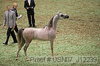 usn07_j12239 proof