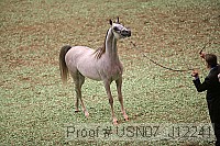 usn07_j12241 proof